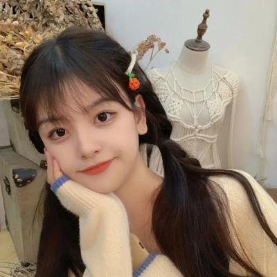 窥机警探侦查事件